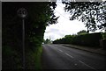 SU7826 : Lane to London Road by N Chadwick