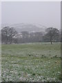 Frosty fields towards Kerridge End