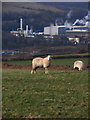 Paper mill in the Llynfi Valley