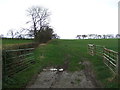 Field entrance off Mounstrall Lane