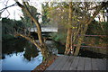 Morden Hall Park: tram line crosses the River Wandle