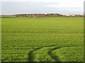 View towards Kilham Farm and Plantation from Common Lane