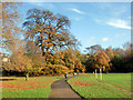 Autumn Colours, Arnos Park, London N11