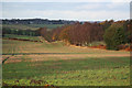 Blidworth farmland