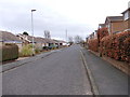 Scatcherd Grove - looking towards Scatcherd Lane