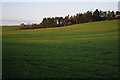 Arable land near Whiteway