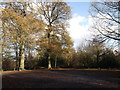 Limpsfield Common Car Park