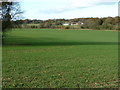 Field view to Hawthbush Farm