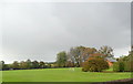 Playing fields, Moulsford