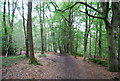 Sussex Border Path, Rake Hanger