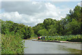 Trent and Mersey Canal north of Middlewich, Cheshire