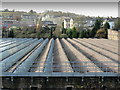 Looking over the Roof of Valley Mills