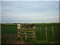 The Centenary Way towards Filey