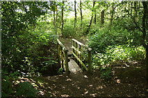 SK8160 : Woodland footbridge by Richard Croft