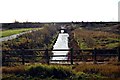 TQ9384 : Drainage Channel, Gunners Park by Trevor Harris