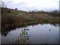 Pool on Penarth Moors