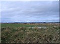 NH5646 : Farmland and railway by the firth by Craig Wallace