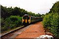 NM9134 : Train Arriving at Connel Ferry Station, 1994 by Rob Newman