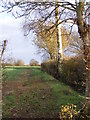 Footpath to Moat Farm