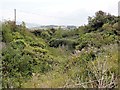 Overgrown Fortifications at Daw