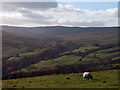 How Stean Beck from Intake Lane