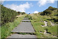 Steps, Saxon Shore Way