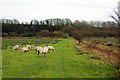 The practical route of footpath Tarring Neville 5