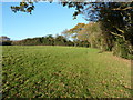 Field boundary near West Street Farm