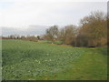 Footpath to Mill Hill