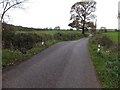 Colebrooke Lane crossing a culverted stream