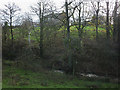 Stream valley below Patrick House