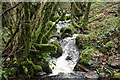 Buckland in the Moor: Ruddycleave tributary