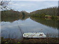 Pond at Mains of Cairnbrogie