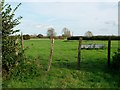 Pasture near Mill Farm, Ashton Green, East Sussex