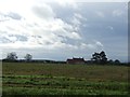 Farmland towards High Thornborough