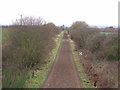 Disused railway (converted to a horse gallop)