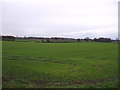 Farmland near Kirby Wiske