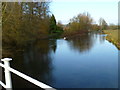 View up the River Itchen from Five Bridges Road