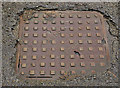 "HRDC" access cover, Lisburn (1)