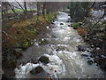 The Afon Cadair at the back of Mari Jones