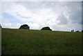 Field near Milland House