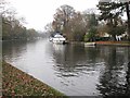 SU7682 : River Thames at Henley-on-Thames by Adrian Platt