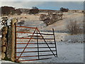 NC8507 : Old gate near Killin, Strath Brora by sylvia duckworth