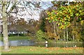 The pond at Hailsham