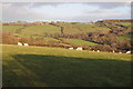 View across the Ecsley valley