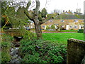 Hook Norton cottages 1