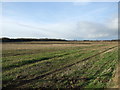 Farmland near Carlton Farm