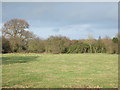 Farmland near Nun Monkton