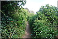 Saxon Shore Way approaches The Leas