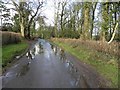 Loughmuck Road, Fallaghearn